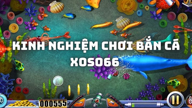 Kinh nghiệm săn thưởng bạt ngàn tại bắn cá Xoso66